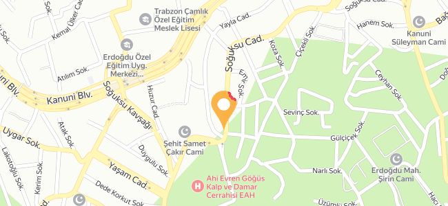 Öz Çamlık Pide, 3 Nolu Erdoğdu