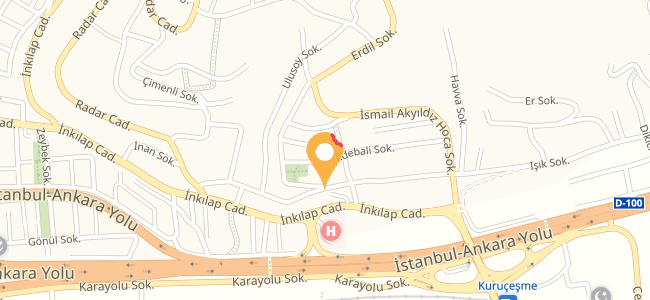 domino s pizza izmit