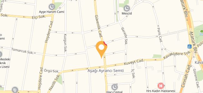 Erciyes Börek, Ayrancı