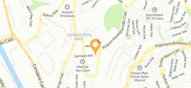 Bbq Chicken, Seyrantepe