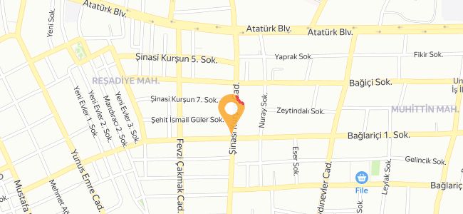 Kanatçı Dede, Reşadiye