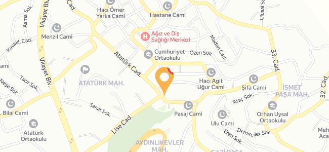 Parkmeydan Ciğerci Ahmet Usta, Cumhuriyet