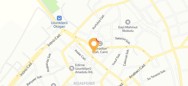 Yaprak Döner, Rızaefendi