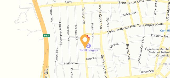 33 Mersin Tantuni, 100. Yıl