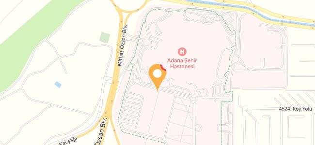 Çiğköfte Dünyası Adana Şehir Hastanesi, Kışla