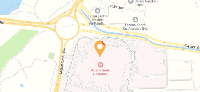 Tazecik Büfe  Adana Şehir Hastanesi, Kışla