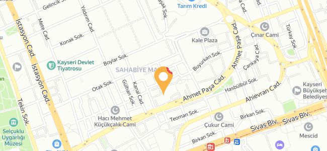 Lezzeti Harika Hatay Sofrası, Sahabiye