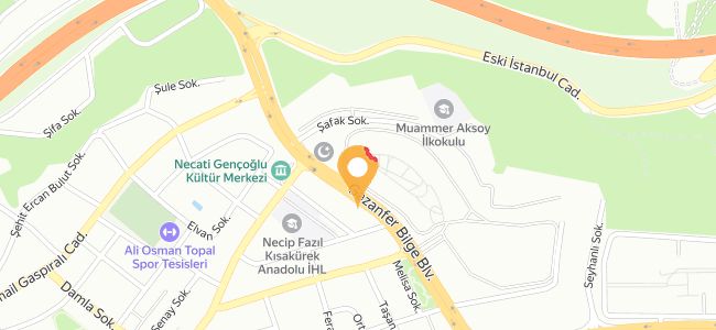 Mor Salkım Meze Çibörek Mantı Evi, Topçular