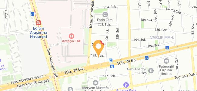Hataylı Özer Usta, Varlık