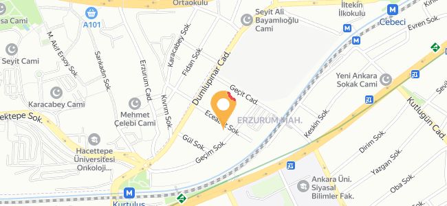 Ajuns Chıcken Cajun&Burger Cebeci, Erzurum