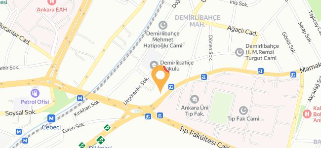 Mamak İlçe Gençlik Örgütü Chp, Dikimevi