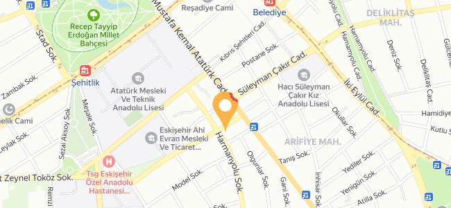 Mez Es, Odunpazarı Merkez
