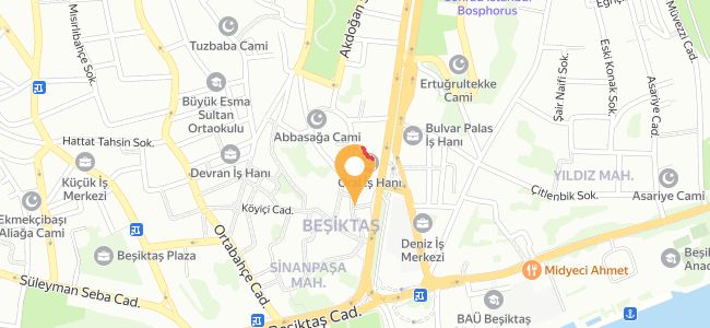Sarrışın Mekan, Sinanpaşallesi