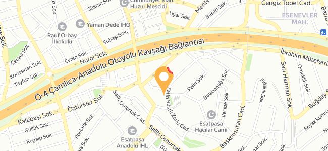 Dostlar, Esat Paşa