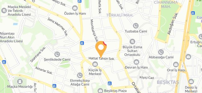 İzmirli Söğüş, Türkali