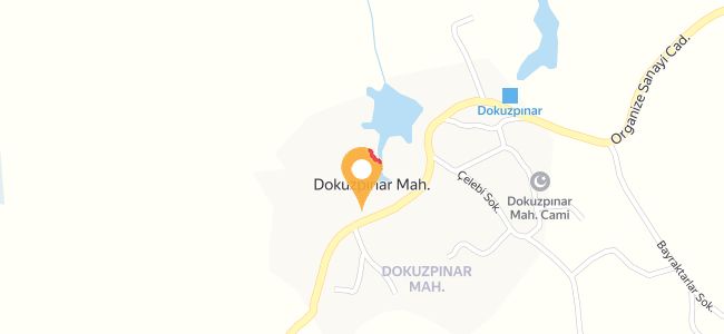 Zeynep Hanımın Çiftliği, Dokuzpınar