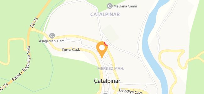 Aponun Yeri, Çatalpınar Merkez