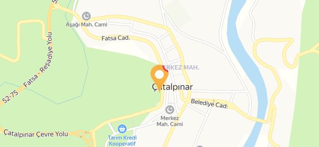 Esnaf İşkembe Ve Paça Salonu, Çatalpınar Merkez