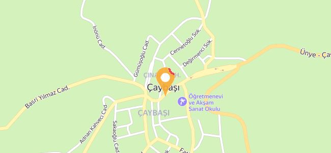 Gamze Et Lokantası, Çınar