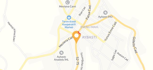 Kral Dönerci, Aybastı Merkez