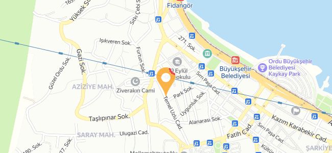 Tekin Ustanın Yeri, Saray
