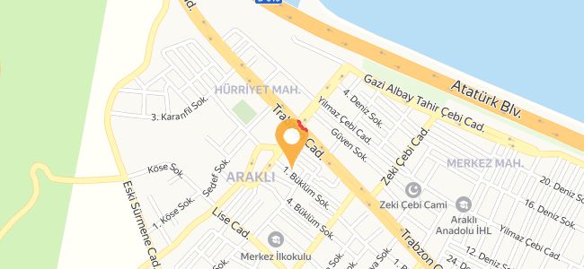 Aydın Ustanın Yeri, Araklı Merkez