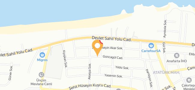 Hanımca Ciğer Ve İşkembe Salonu, Atatürk
