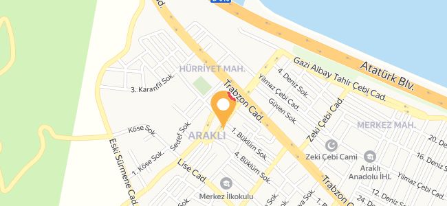 Meydan Lokantası, Araklı Merkez