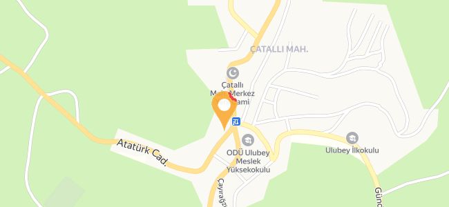Resume Çiğ Köfte, Çatallı