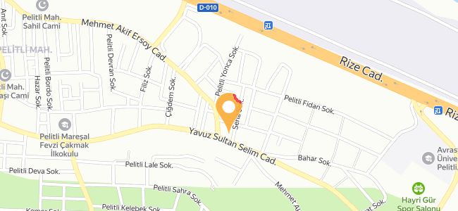 Temel Usta Yemek & Kebap Salonu, Pelitli