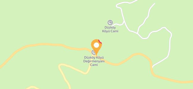 Düzköy Canlı Alabalık Tesisleri, Düzköy Köyü