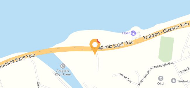Reis Restaurant, Tirebolu Merkez