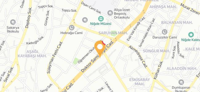 51 Nirvana Restoran, Saruhan