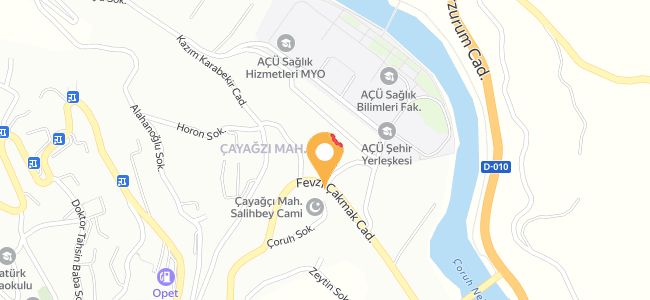 Bisos Artvin Tavuk Döner, Çayağzı