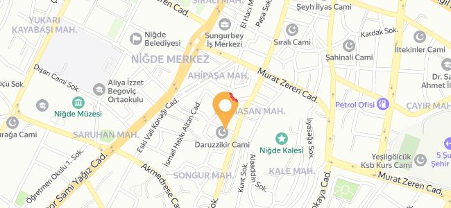 Demirtaşlar Balık, Songur