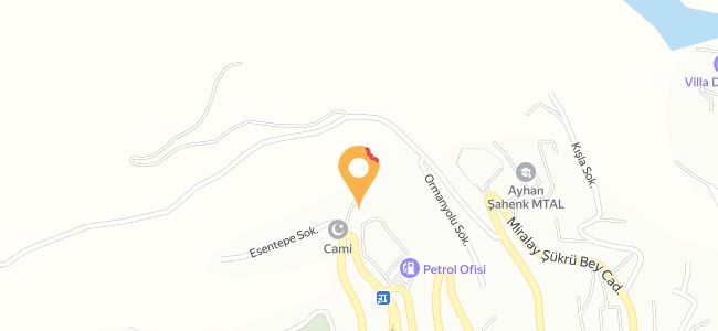 Ökuz Burger Artvin, Yeni