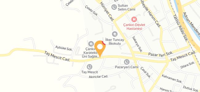 Adana Şırdan, Yeni