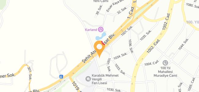 Taksim Islak Hamburger, 100. Yıl