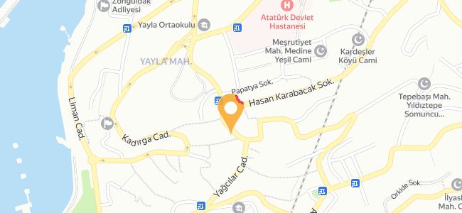 Meşhur Adıyamanlı Çiğ Köfteci Ali Baba, Meşrutiyet