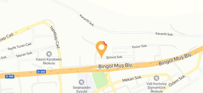 Çan Pide Lahmacun Salonu, Saray