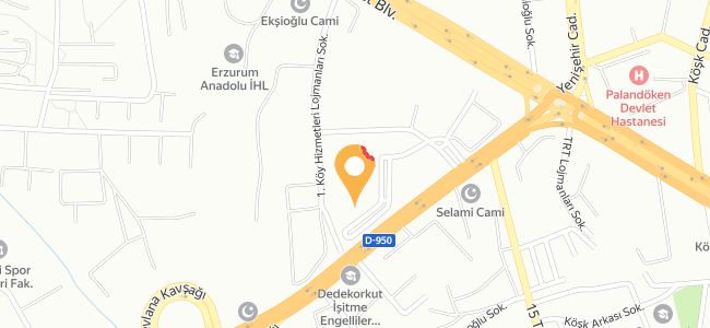 Polat Köy Sofrası, Üniversite