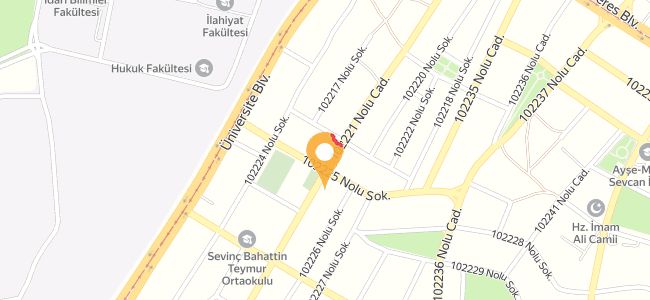 Mulla Ustanın Yeri Pide Ve Lahmacun Fırını, Güneykent