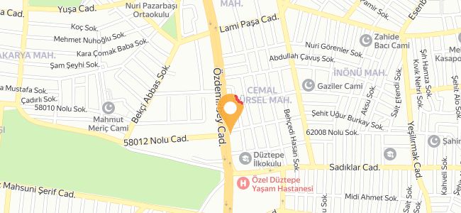 Şen Kebap Salonu, Cemal Gürsel