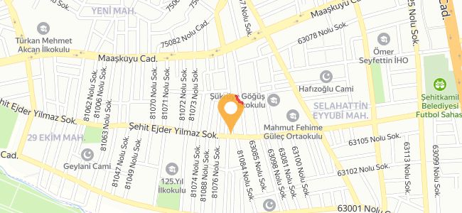 Tambi Döner, Selahattin Eyyubi