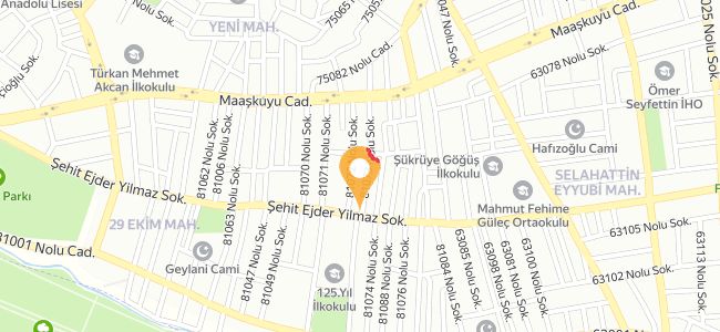 Tatlıcı Sado, 29 Ekim