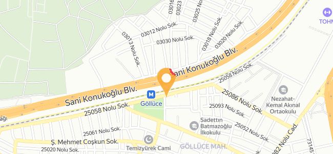 Türkmenoğlu Ciğer Sarayı, Göllüce
