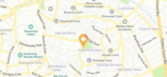 Türktepe Aile Çay Bahçesi, Kanalıcı