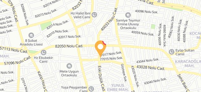 Ertuğrul Bey Közde Künefe Baklava, Yunus Emre
