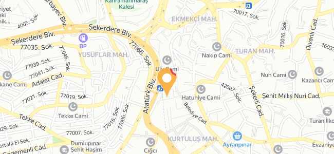 Kadir Çokyiğit Mustafa Çokyiğit, Kurtuluş