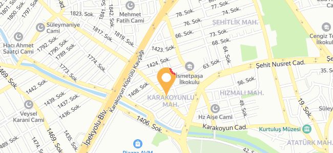 Abdülkadir Usta, Karakoyunlu